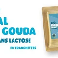 Emmental et gouda sans lactose
