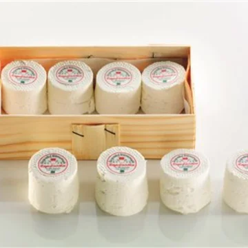 Mini Tonnelets de chèvre frais bio