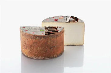 ÖMA Roccolo  fromage bio italien pâte demi dure 