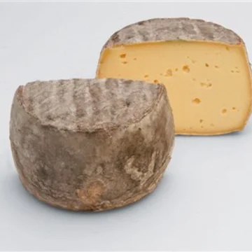 Tommette de Yenne bio